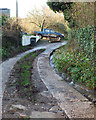 Track to Court Farm and Manor Farm, west of Holcombe village