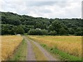 Barley, Ballsfoundry