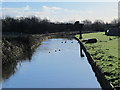 The New River southeast of Rye Common Pumping Station, Hoddesdon Road, EN11