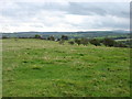 On the summit of Banks Farm Hill