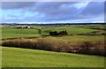 Chapelton Loch View