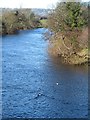 Looking upstream from Ulshaw Bridge