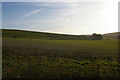 TQ1211 : Looking south off the South Downs Way by Christopher Hilton