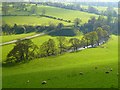 Pasture, Castle Sowerby