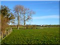 Pasture, Castle Sowerby