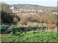 View north from Horsenden Hill towards Harrow