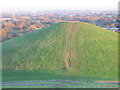 Mounds at Northala Fields - the first mound from the second mound