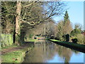 The New River south of High Street, Stanstead St. Margaret