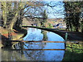 The New River north of High Street, Stanstead St. Margaret