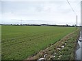 Farmland west of Hagg House