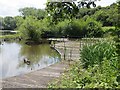 Pond, Telford Town Park