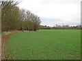 TQ7499 : Public footpath on arable land, West Hanningfield by Roger Jones