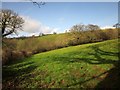 Field near Polventon