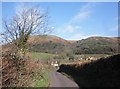 Back lane to Bossington