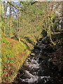 Lestowcoombe stream