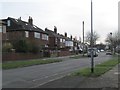 Hawkhill Drive - Brian Crescent