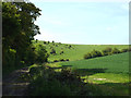 Snap Hill seen from Poverty Bottom