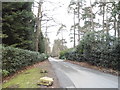 Westwood Road, Windlesham