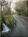 Lane to Penkestle Moor