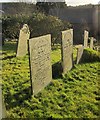 Gravestones, St Neot