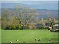 Pasture, Calthwaite, Hesket