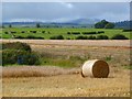 Farmland, Dacre