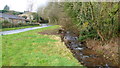 Brook, Cwmbach, 2