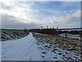 NCN route 6 and in the distance a rare sighting of coal mine head gear