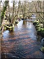 The River Burn