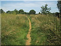 Medway Valley Walk