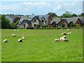 Pasture, Plumpton, Hesket