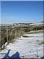 Footpath - Butts Green Lane