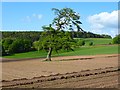 Farmland, Penrith