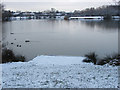 Goldsworth Park Lake