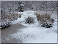 Frozen ground, Goldsworth Park