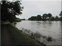 TQ1776 : River Thames by Matthew Chadwick