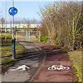 Footpath and cycleway