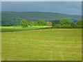 Farmland, Carlatton