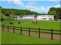 Pasture, Edenhall, Langwathby