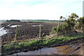 Farmland at Mahaar