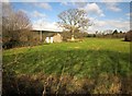 Barn and oak, Staverton