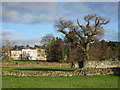 The ruins at Waverley Abbey, view towards the River Wey