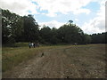 Walkers in Field