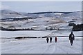 NT2246 : Snow-covered fields near Stewarton by Jim Barton