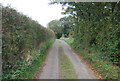 Quiet rural lane