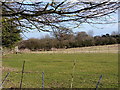 Small field at Malvern Park Farm