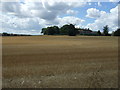 Looking towards Hothorpe Hall