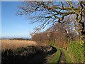 Lane to Pentre-du