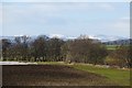 Earn flood plain, Dalreoch