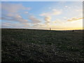 Field and Spire